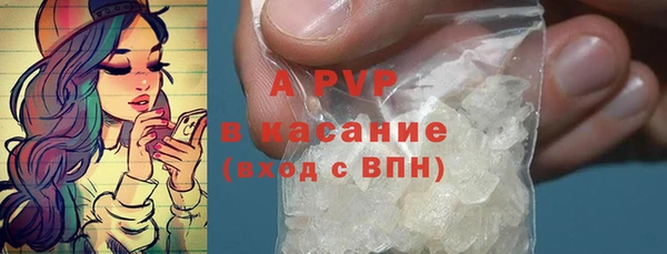 амф Покачи