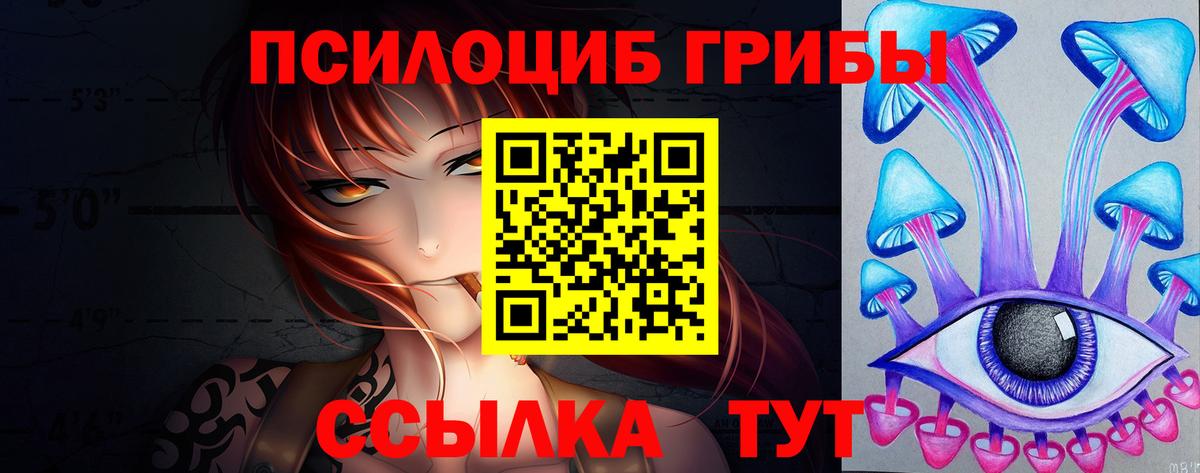 Псилоцибиновые грибы Psilocybine cubensis Великий Устюг