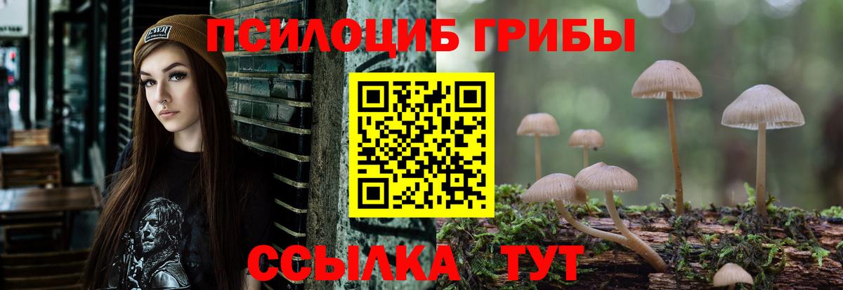 Псилоцибиновые грибы GOLDEN TEACHER  Псилоцибиновые грибы Psilocybe  Вход с VPN  Великий Устюг 